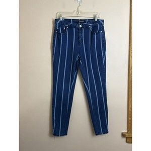 Ashley Stewart Womens Striped Skinny Jeans Size 14 Blue Stretch Pockets